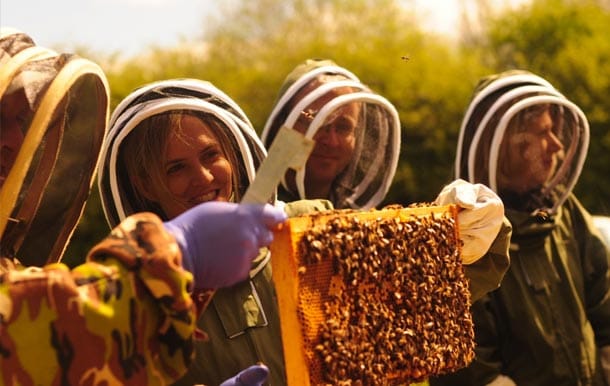 Honey Bees Buzzing After Louise Mensch Visit