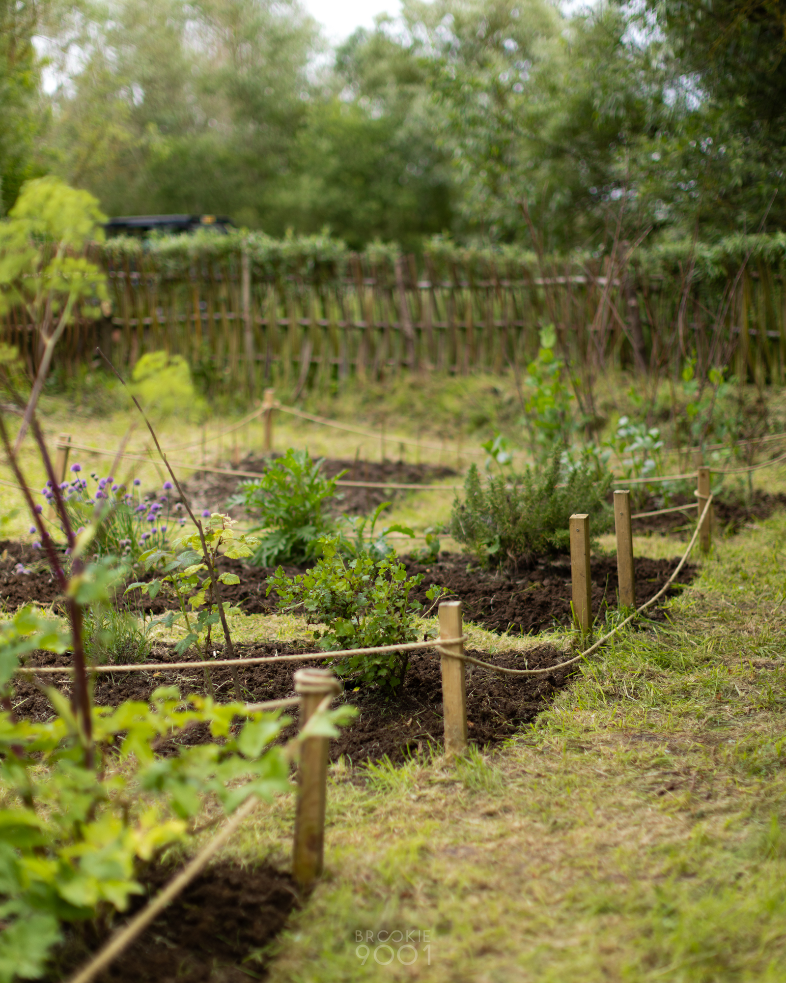 Planting the Iron Age – an experiment!